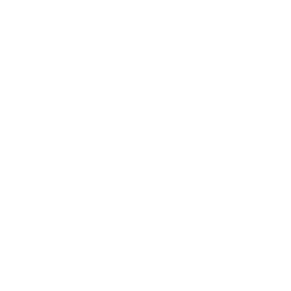 Automotive & Fleet