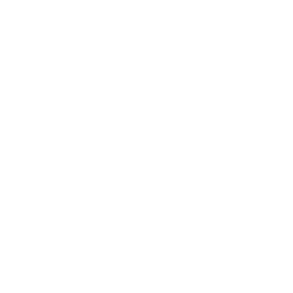 Get to know our team